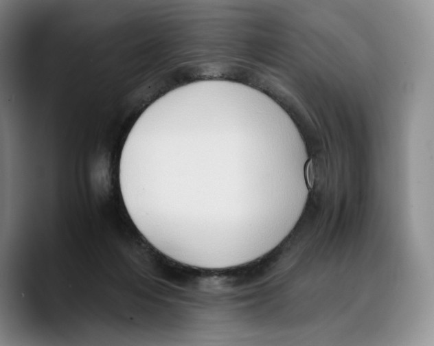 X0000089670216200707201646