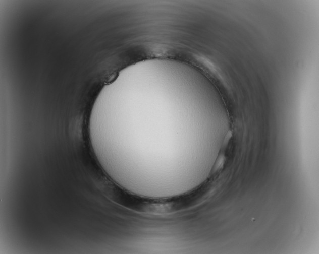 X0000089670217200707201646