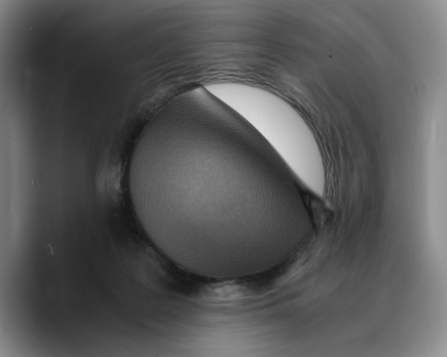 X0000089670219200707201646