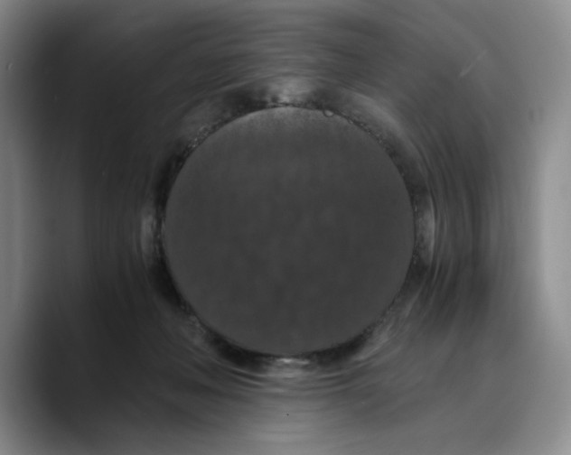X0000089670222200707201646