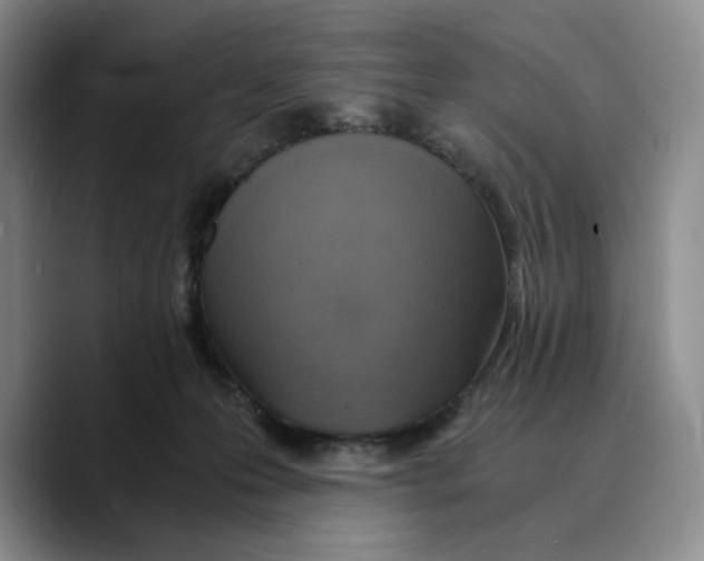 X0000089670223200707201646
