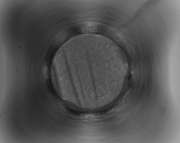X0000089670224200707201646