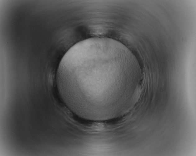 X0000089670227200707201646