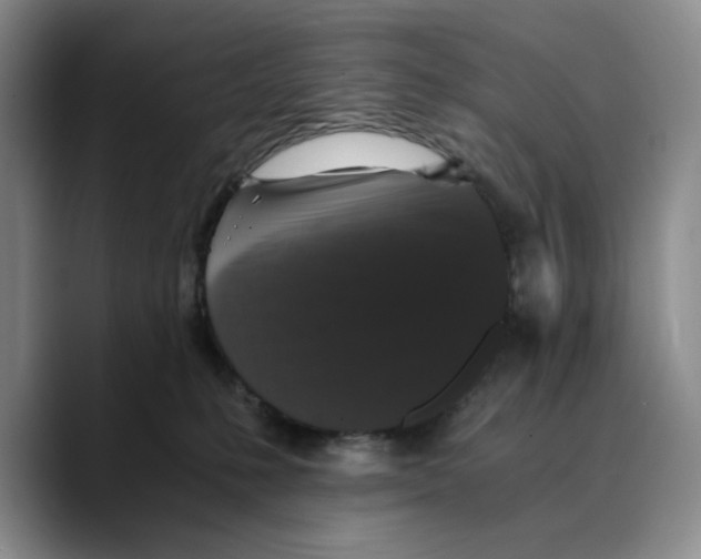 X0000089670231200707201645