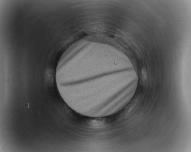 X0000089670232200707201645