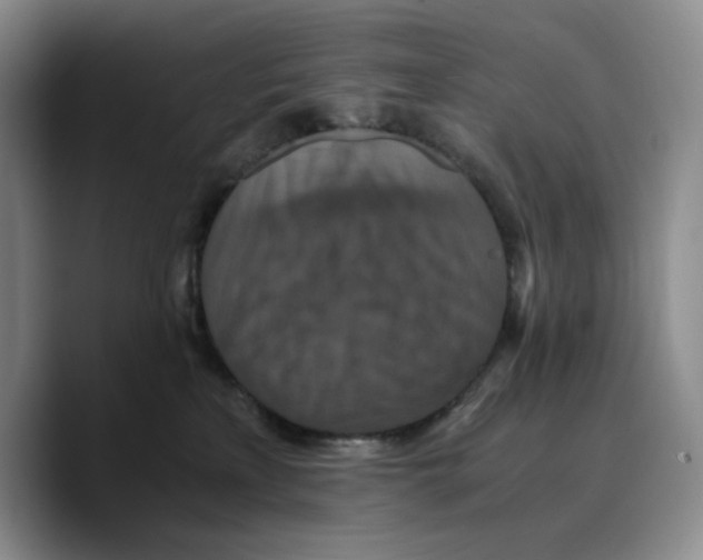 X0000089670233200707201645