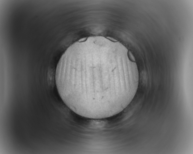 X0000089670234200707201645