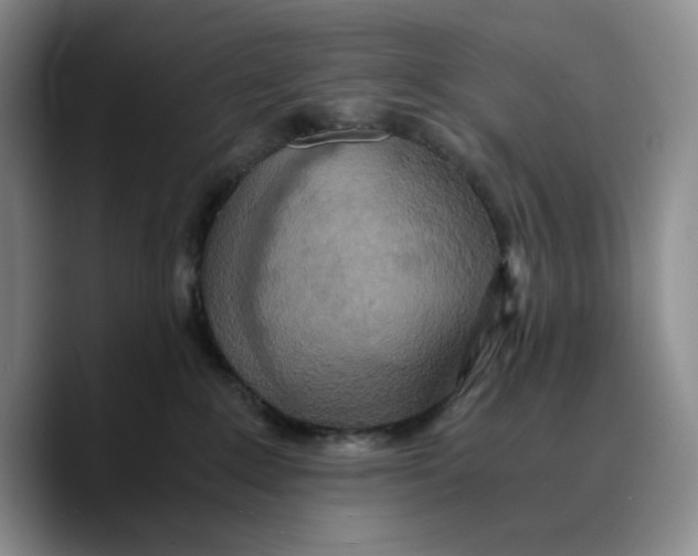 X0000089670235200707201645