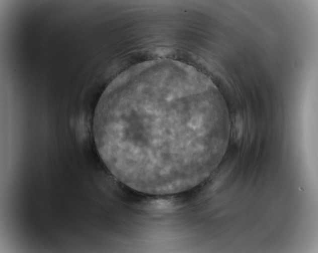 X0000089670236200707201645