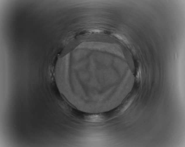 X0000089670237200707201645