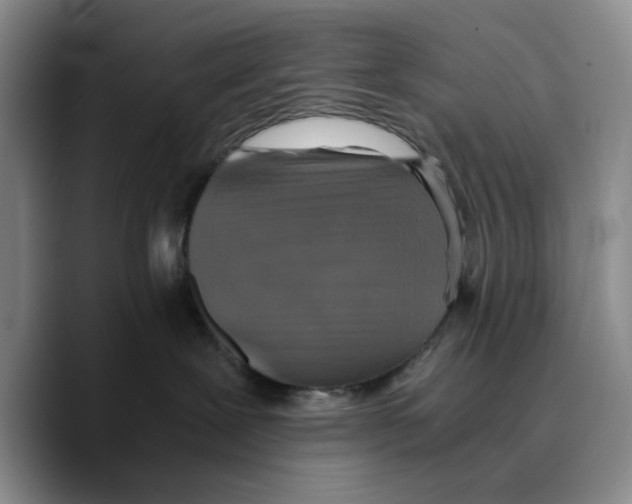 X0000089670239200707201645