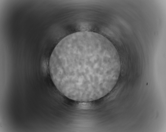 X0000089670240200707201645
