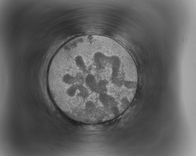 X0000089670241200707201645