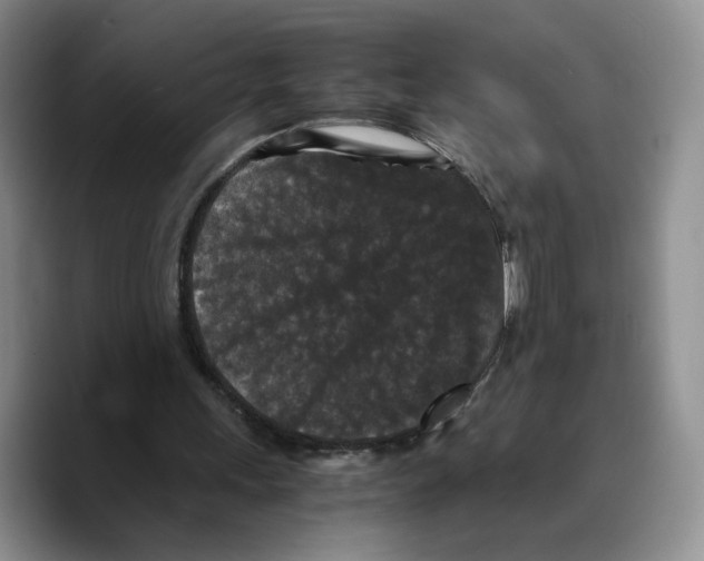 X0000089670243200707201645