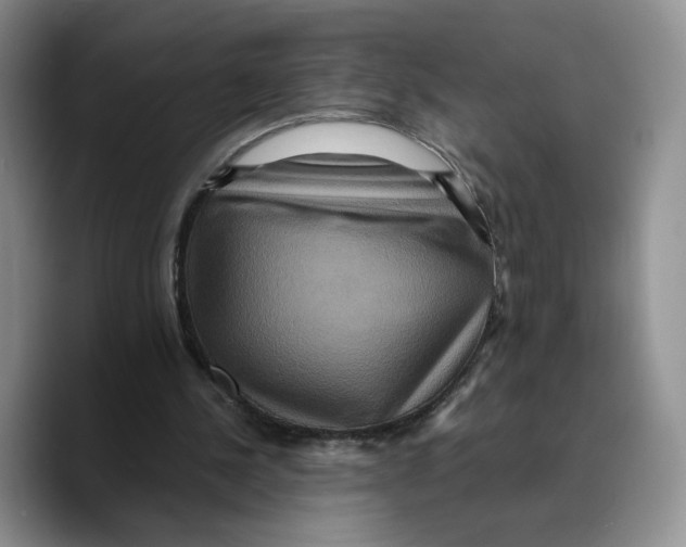 X0000089670244200707201645