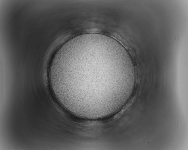 X0000089670245200707201645