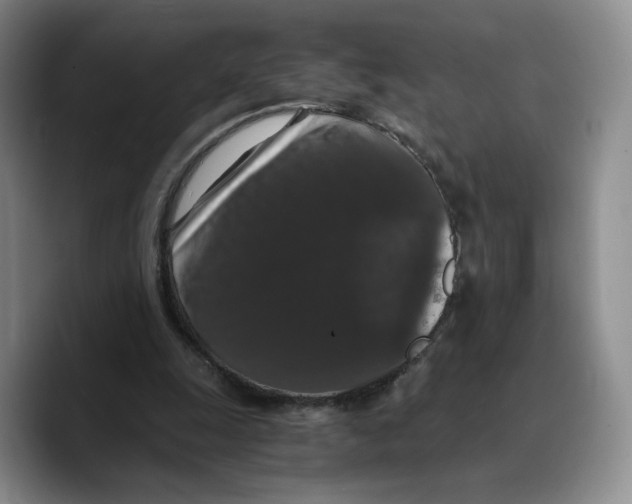 X0000089670247200707201645