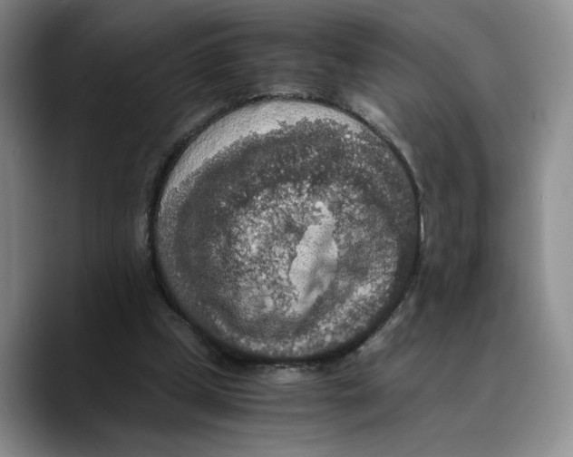 X0000089670249200707201645