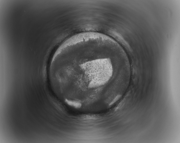 X0000089670250200707201645