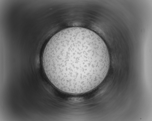 X0000089670251200707201645
