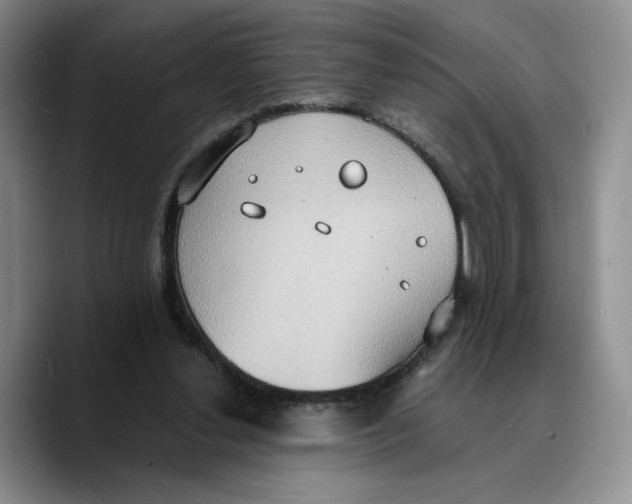 X0000089670252200707201645