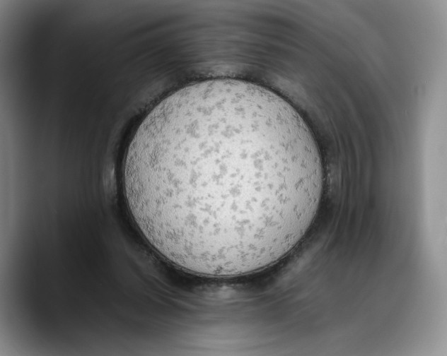 X0000089670254200707201645