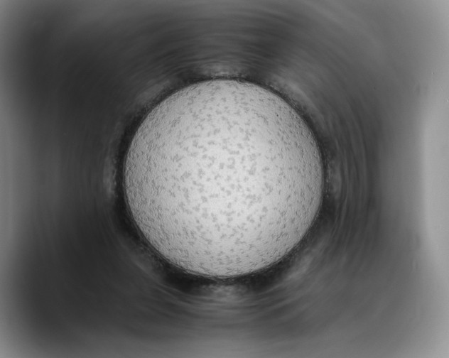 X0000089670255200707201645