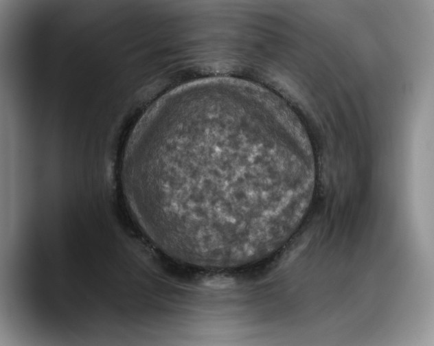 X0000089670258200707201645