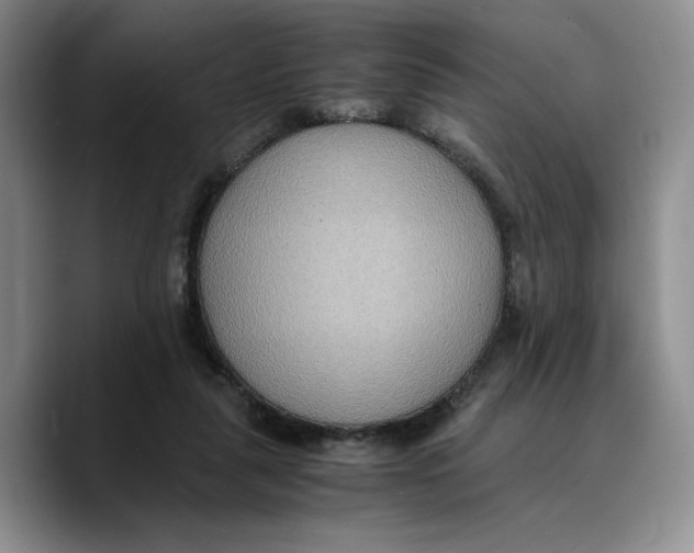 X0000089670259200707201645