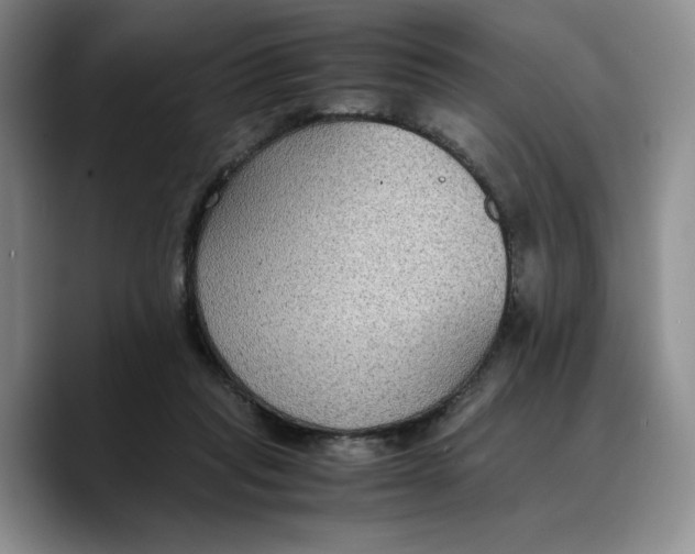 X0000089670261200707201645