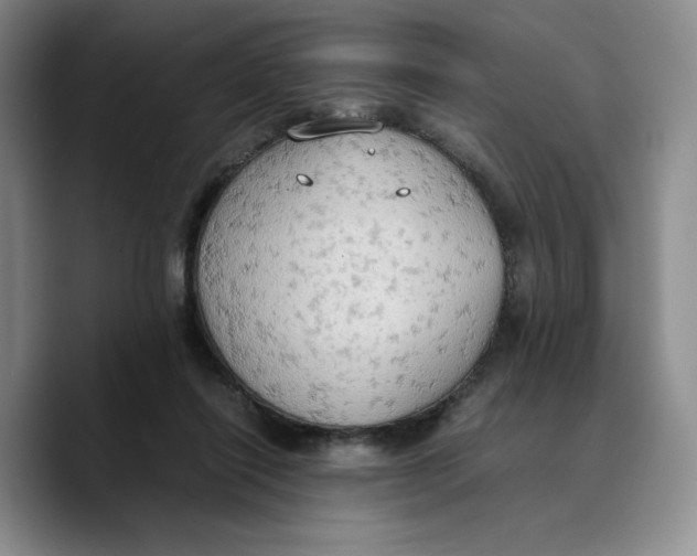 X0000089670262200707201645