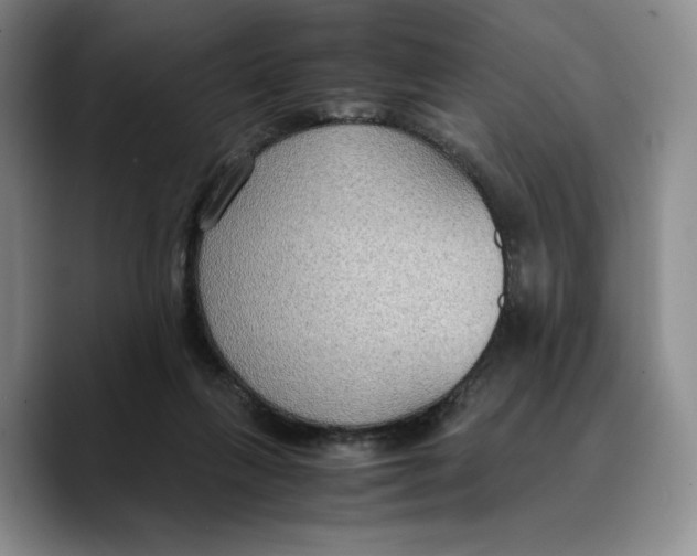 X0000089670263200707201645