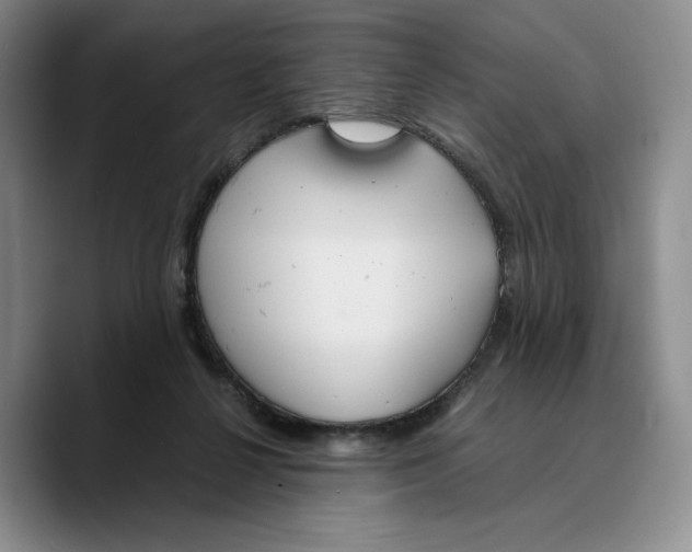 X0000089670264200707201645
