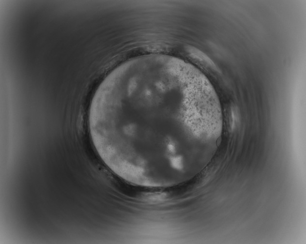 X0000089670266200707201645