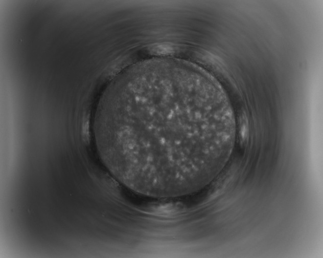 X0000089670267200707201645