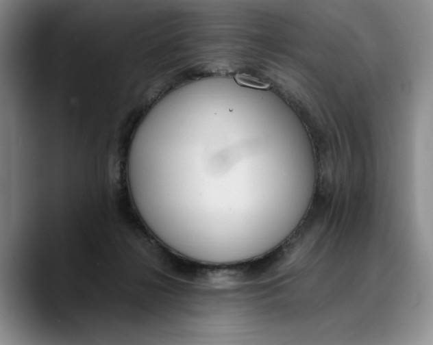 X0000089670268200707201645