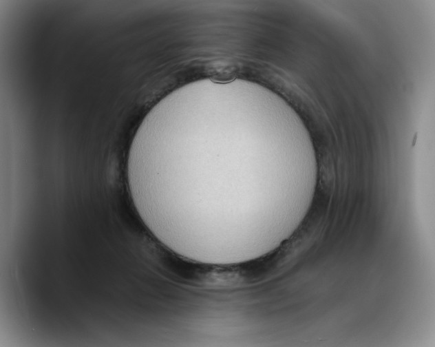 X0000089670270200707201645
