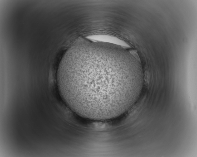 X0000089670272200707201645