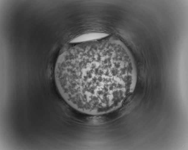 X0000089670273200707201645
