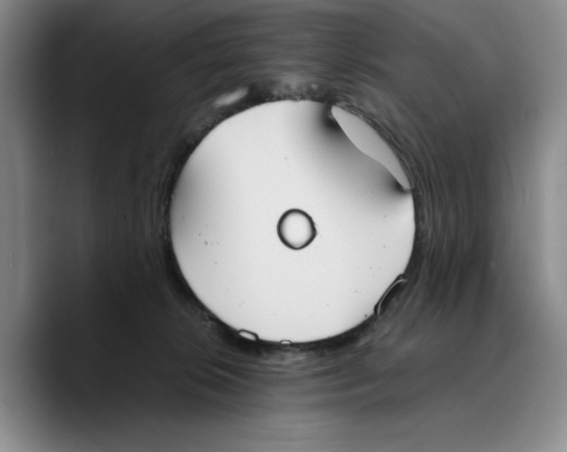 X0000089670276200707201645