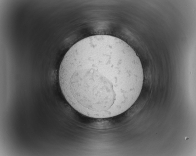 X0000089670278200707201645