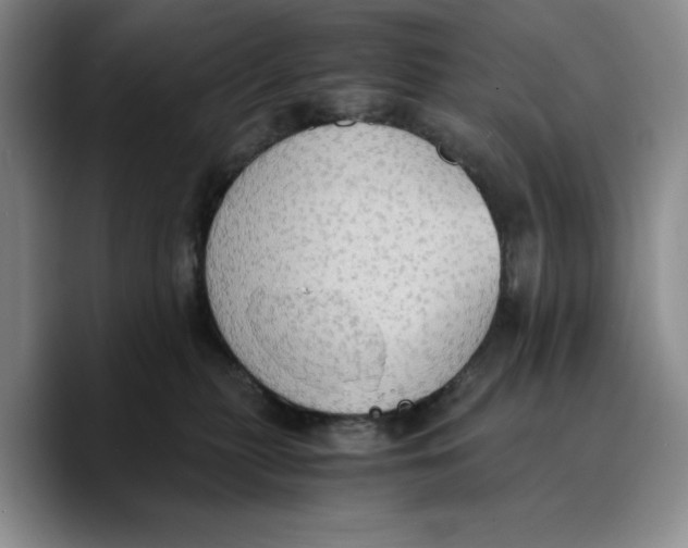 X0000089670279200707201645