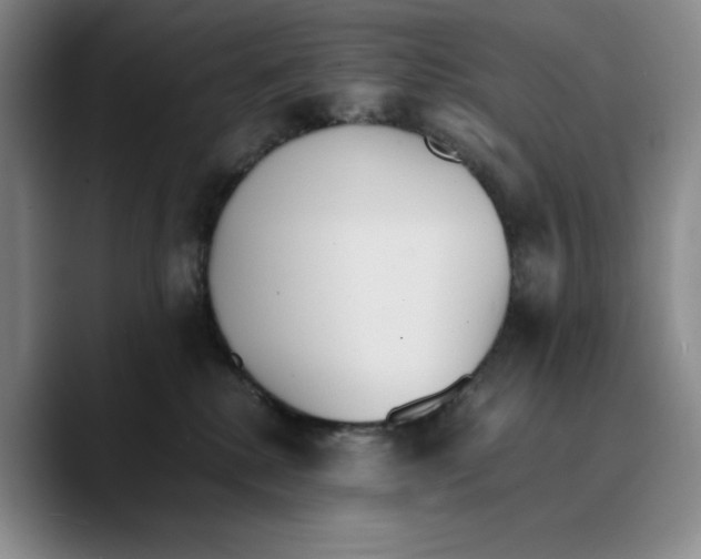 X0000089670280200707201645