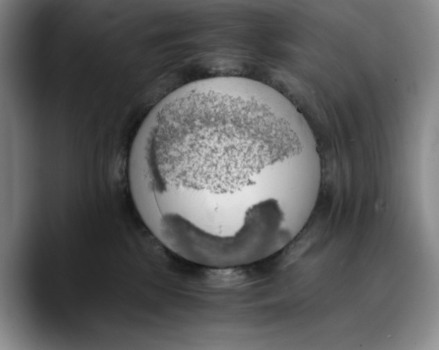 X0000089670281200707201645