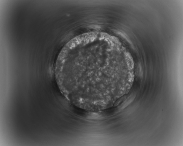 X0000089670285200707201645