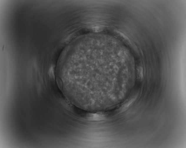 X0000089670286200707201645