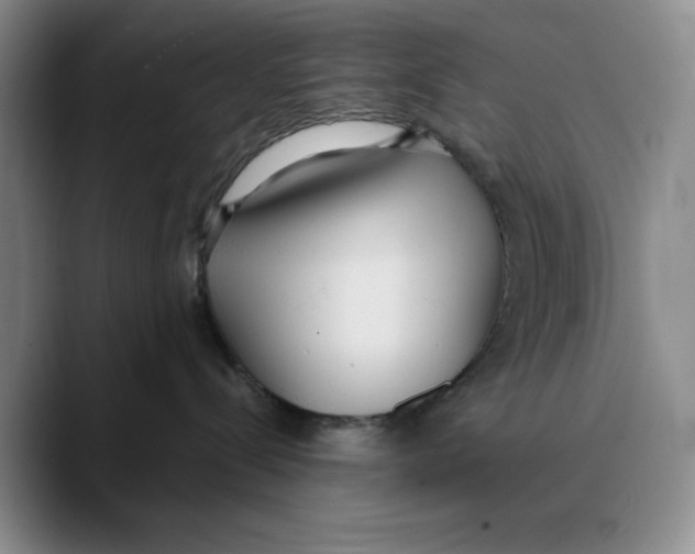 X0000089670288200707201645
