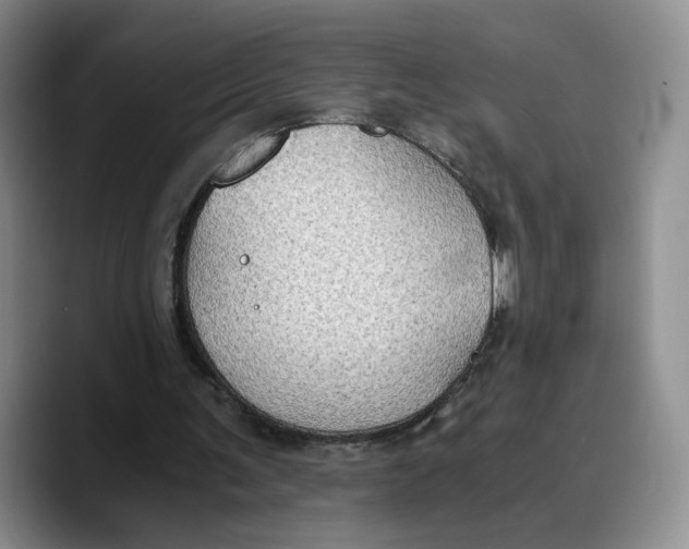 X0000089670291200707201645