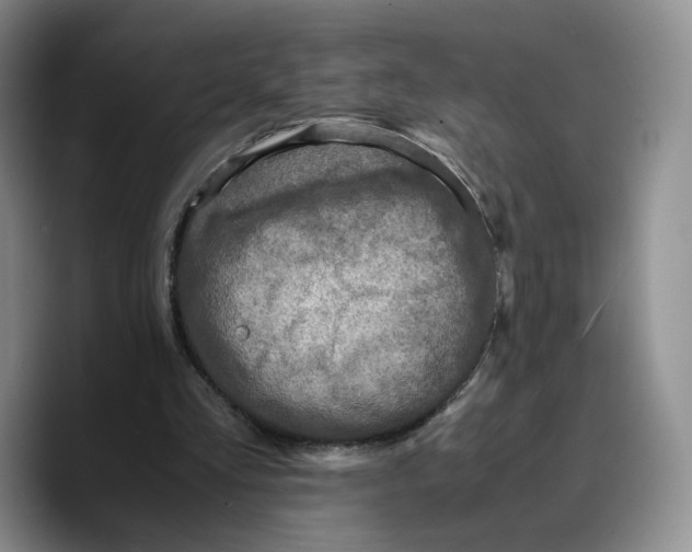 X0000089670293200707201645