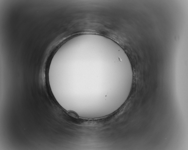 X0000089670294200707201645